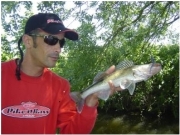 Blog de Franck Team pike'n bass